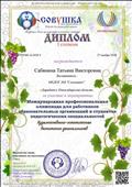 Диплом I степени в Международной профессиональной олимпиаде для работников образовательных организаций и студентов педагогических специальностей 
направление "Художественно-эстетическое воспитание дошкольников" , 2018 год